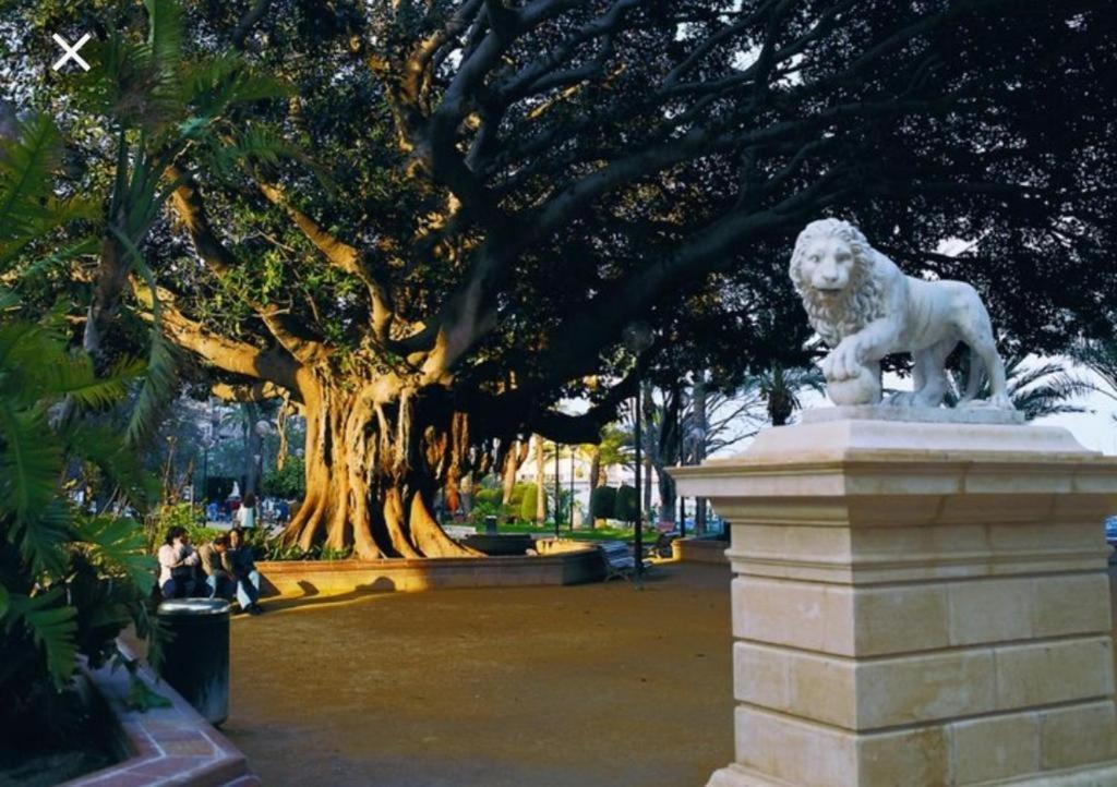 The Terrace Canalejas Alicante Exterior photo